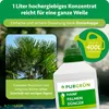 Purgrün Hanfpalmen Dünger | Flüssigdünger für Wachstum | 1L Produktbild-Vorschau 4