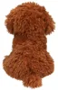 TopModel TOPModel Plüsch Hund Teddy braun 30 cm FUR EVER Produktbild-Vorschau 6