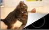 KitchenYeah© Herdabdeckplatte Katze - Kätzchen - Schwarz , Produktbild-Vorschau 1