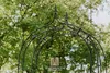 Arche de rosiers LENA 160 cm noir revêtu par poudre Voir les images du produit 5