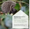 WILDLIFE HOME Igelfutter Getreidefrei 1kg - Artgerechtes Produktbild-Vorschau 6