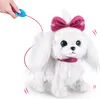 Pets Alive - Paw Paw, de pratende puppy (elektronisch Productafbeelding-voorbeeld 4