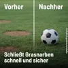 Substral Sport & Spiel Rasensamen 2 kg für 100 m² Produktbild-Vorschau 14