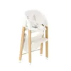 Silla alta para bebés Deryan Luxe – Creciente con el niño – Vista previa de la imagen del producto 11