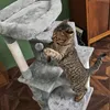 Arbre à chat haut, 5 niveaux, 143 cm, avec maisonnette, Voir les images du produit 5