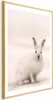 Posterpapier Poster - Fearful Look 29.7x42 cm Tiere Produktbild-Vorschau 1
