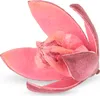 Wildlilie rosa ca. 6cm | Soymida febrifuga Produktbild-Vorschau 2