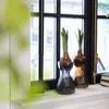 Esschert Design Esschert Wazon na cebulki kwiatowe Podgląd zdjęcia produktu 2