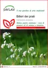 SAFLAX  - Billeri dei prati - 100 semi - Cardamine Anteprima dell’immagine prodotto 1