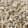 10kg słonecznika łuskanego | Idealny dla młodych ptaków | Podgląd zdjęcia produktu 6