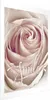 Posterpapier Poster - Smile! 29.7x42 cm Blumen Produktbild-Vorschau 1