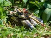 Aga RC Grande Carro Armato 9995 2.4 GHz sabbia Anteprima dell’immagine prodotto 9
