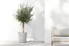 Untersetzer Ecopots mit Rollen Kunststoff Ø 41,6 cm H 9 cm Produktbild-Vorschau 7