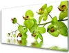 Acrylglasbilder 100x50 Wandbild Druck Blumen Pflanzen Produktbild-Vorschau 1