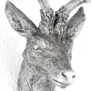 Hirschgeweih 10 Ender in Silber Hirschkopf Wand Deko Jagd Produktbild-Vorschau 3