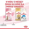 Royal Canin Kitten Sterilised, Kitten, Geflügel, 3,5 kg Produktbild-Vorschau 20