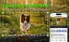 Wildkamera WLAN App 60MP 4K, Solar Wildtierkamera mit Produktbild-Vorschau 3