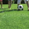 Kiepenkerl RSM 2.3 Gebrauchsrasen Spielrasen mit Poa supina Produktbild-Vorschau 7