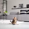 District 70 Gamelle pour chat en bambou gris 12 x 12 x 2,8 Voir les images du produit 2