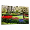 Wallario Herdabdeckplatte aus Glas, Größe 80 x 52 cm Produktbild-Vorschau 1
