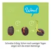 Kosmos 45496906, Experimentier-Set, Botanik, 8 Jahr(e) Produktbild-Vorschau 4