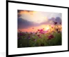 MuchoWow® MuchoWow® Gerahmtes Poster Sonnenuntergang - Produktbild-Vorschau 1