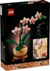 Mała orchidea Podgląd zdjęcia produktu 17