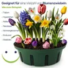 Pflanzkorb Pflanzkörbe für Zwiebelpflanzen Ø22 cm, Menge:12 Produktbild-Vorschau 5