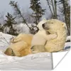 MuchoWow® Poster Eisbär - Schnee - Höhle - Jungtier 50x50 Produktbild-Vorschau 1