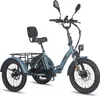 FAFREES F20 Mate E-Lastenrad - Akku 48V23.45AH Produktbild-Vorschau 2