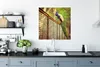 MuchoWow® Poster Pfau - Federn - Zaun 75x75 cm - Wand Produktbild-Vorschau 3