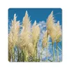 MuchoWow® Mauspad Mousepad Pampasgras - Pflanze - Natur Produktbild-Vorschau 1