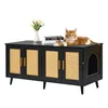 A cat is lying on top of a black wooden cabinet with rattan-style doors and an arched opening on the side. There are also some books and a vase with flowers on top of the cabinet. Produktbild-Vorschau