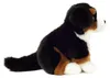 Teddy-Hermann Teddy Hermann cane da montagna bernese Anteprima dell’immagine prodotto 5