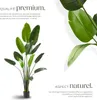 Arbre oiseau du paradis TROPIC - 180 cm Voir les images du produit 3