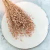 Flachs Getrocknete - (Leinen) - Hellrosa Produktbild-Vorschau 6