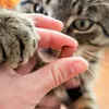 Akinu ANTIHAIRBALL Hovězí pamlsek pro kočky 50 g Náhled obrázku produktu 2