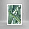 Poster - Poster ohne Rahmen - Exotisch Blätter Grün - 50x70 Produktbild-Vorschau 4