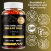 Pure Himalayan Shilajit Gold Gummies (100 gumových Náhled obrázku produktu 4