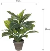 Mica Decorations Evergreen Kunstpflanze - H49 x Ø40 cm - Produktbild-Vorschau 7