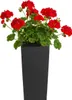 HowHomely | Vasi da fiori - Vasi per piante - neri - Set da Anteprima dell’immagine prodotto 8