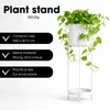 Mica Decorations Colyn Pot de fleurs sur support - H60 x Voir les images du produit 8