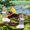 Vögel Wasserspender, 2 Stück Automatischer Trinkflaschen Produktbild-Vorschau 3