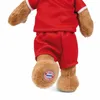 nici Kuscheltier FC BAYERN Bär Berni mit Trikot und Produktbild-Vorschau 6