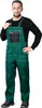Arbeitslatzhose in versch. Farben grün 50 Produktbild-Vorschau 2