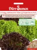 Dürr-Samen - Crispy-Salanova Telex + Experience RZ - Produktbild-Vorschau 1