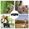 Süßes schwarzes Hundehalsband aus Leder mit Knochen Produktbild-Vorschau 9