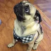 Hundegeschirr Set mit Leine für kleine Hunde - Produktbild-Vorschau 5