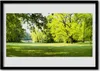 Bild 100x70 MDF-Rahmen Wandkunst Grass Bäume Naturpark Produktbild-Vorschau 1