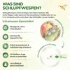 Green Guardia Schlupfwespen gegen Apfelwickler -3x Karten Produktbild-Vorschau 4